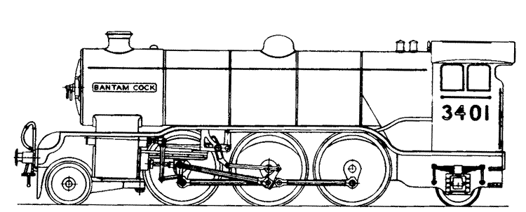 Bantam Cock